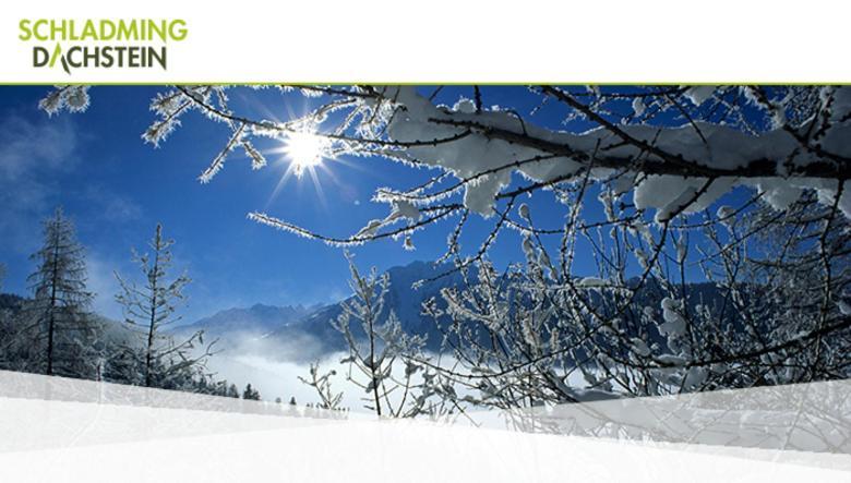 Hotel Vitaler Landauerhof Schladming Zewnętrze zdjęcie
